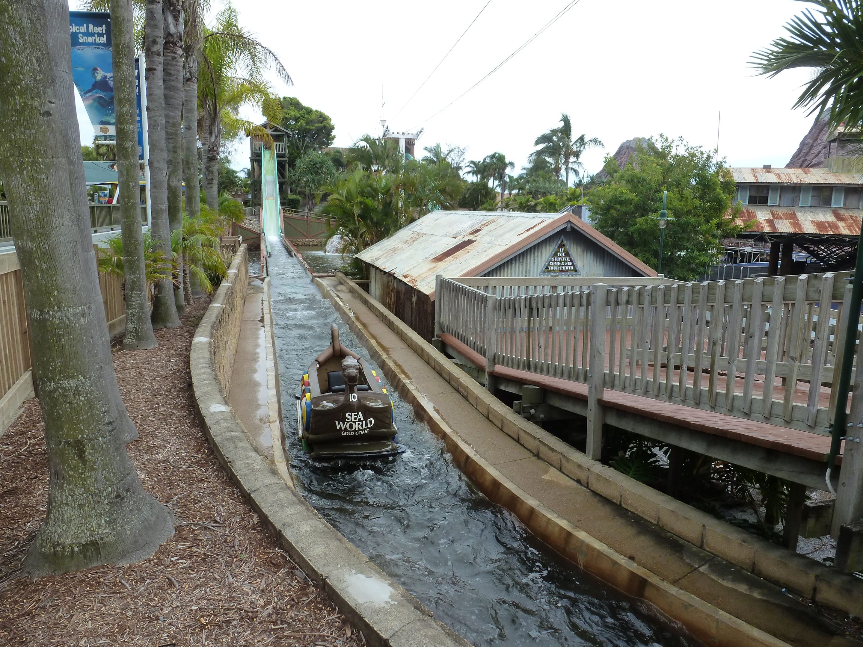Sea World Gold Coast