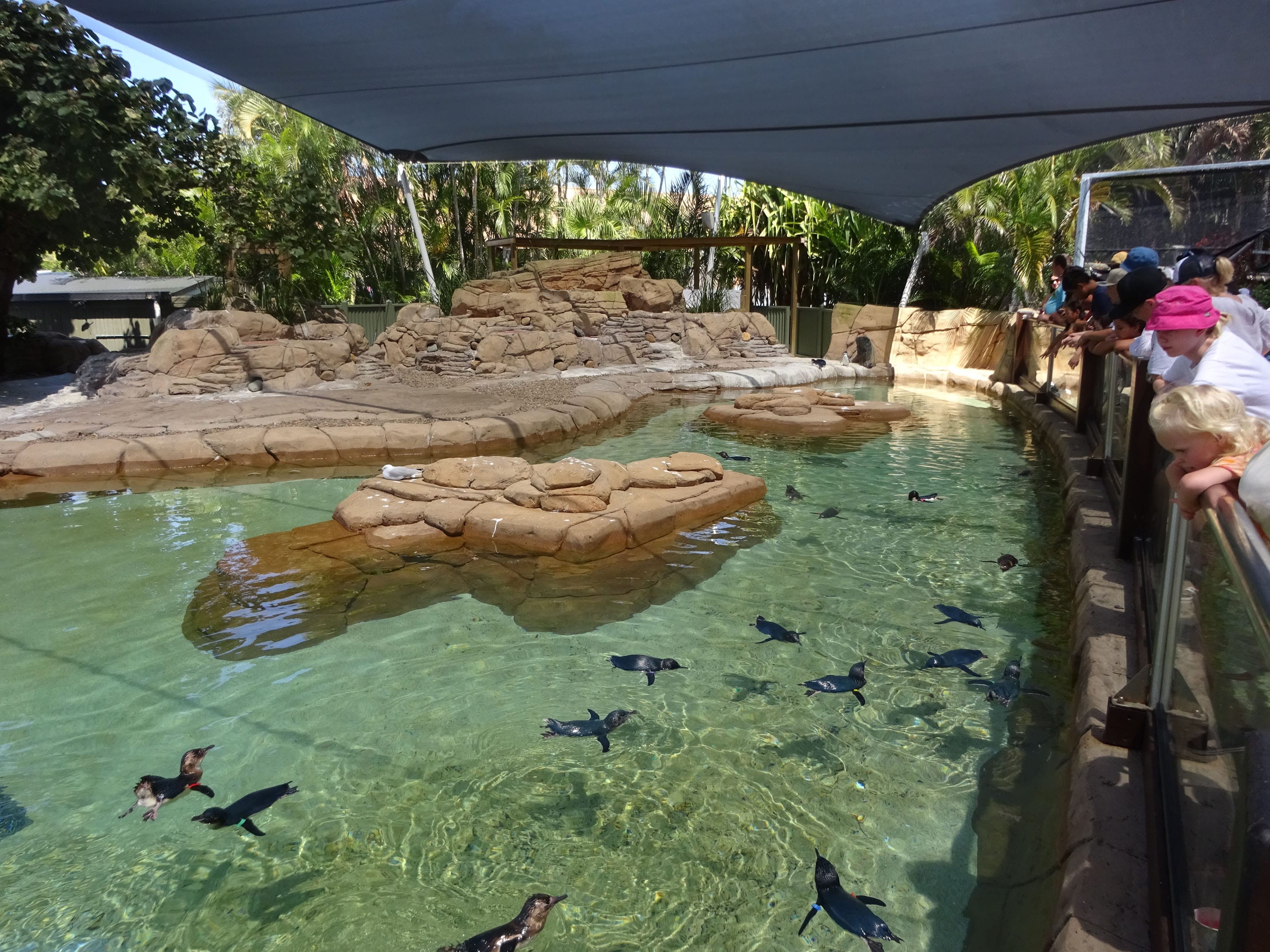 Sea World Gold Coast