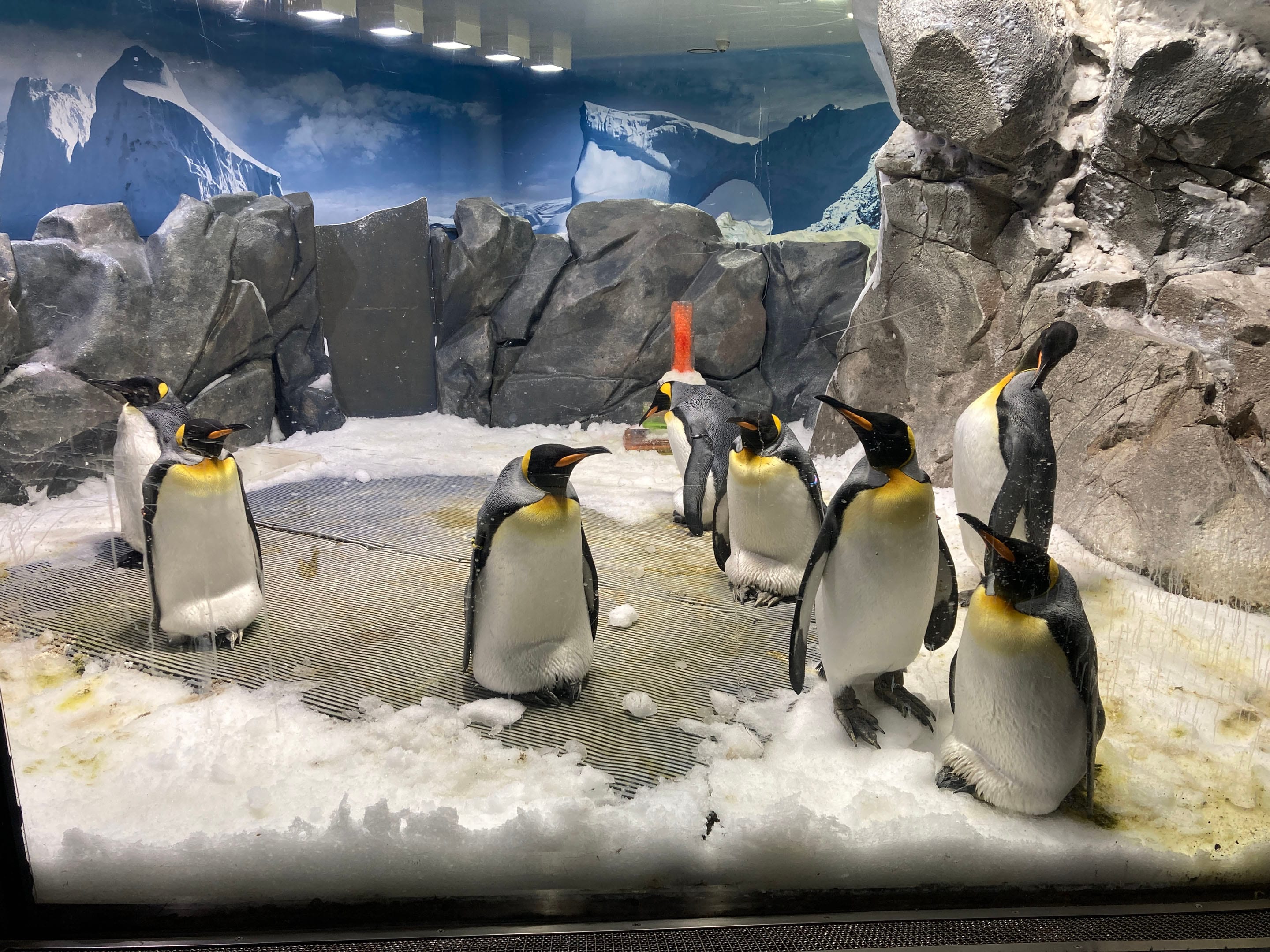 Sea World Gold Coast