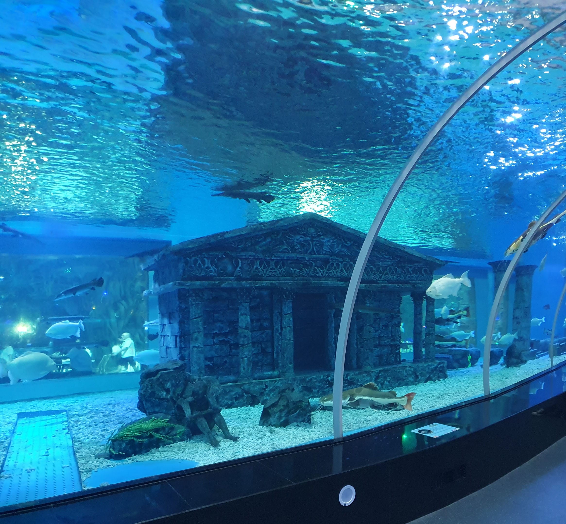 Ocean Kingdom Macau