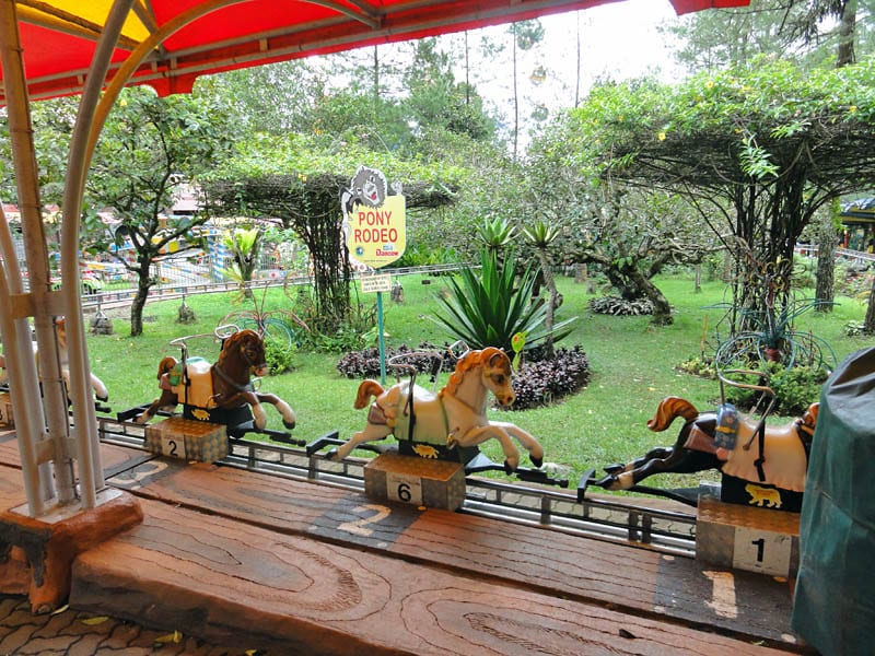 Taman Safari Bogor