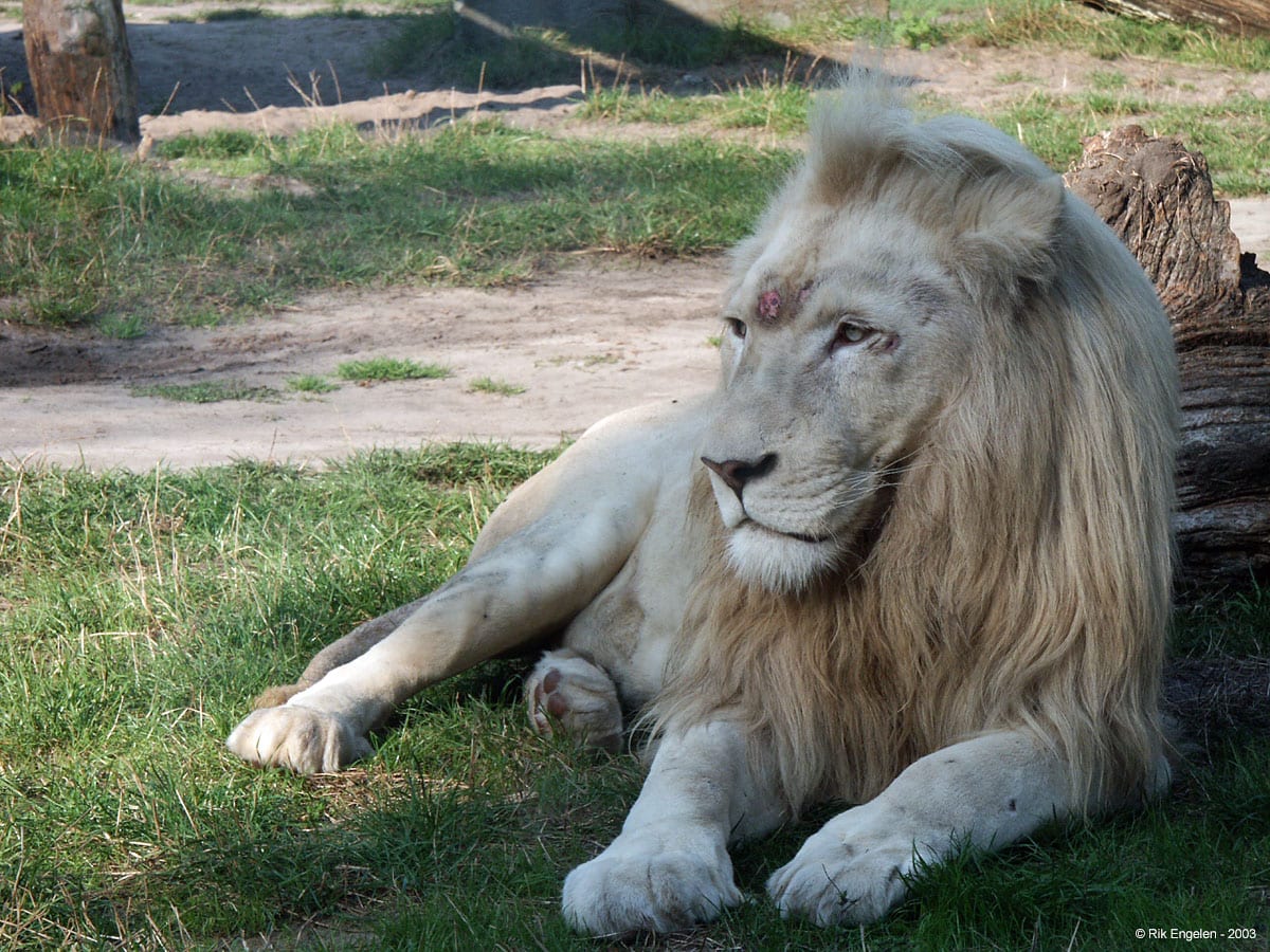Safari World Bangkok