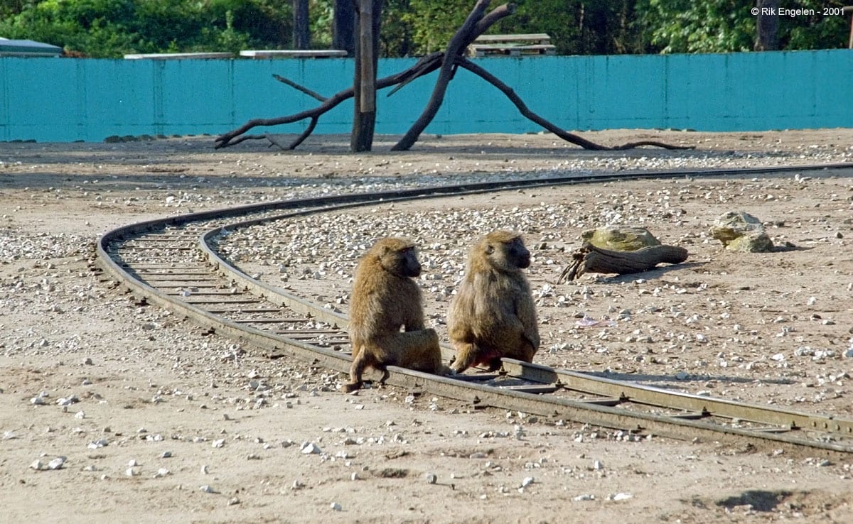 Safari World Bangkok