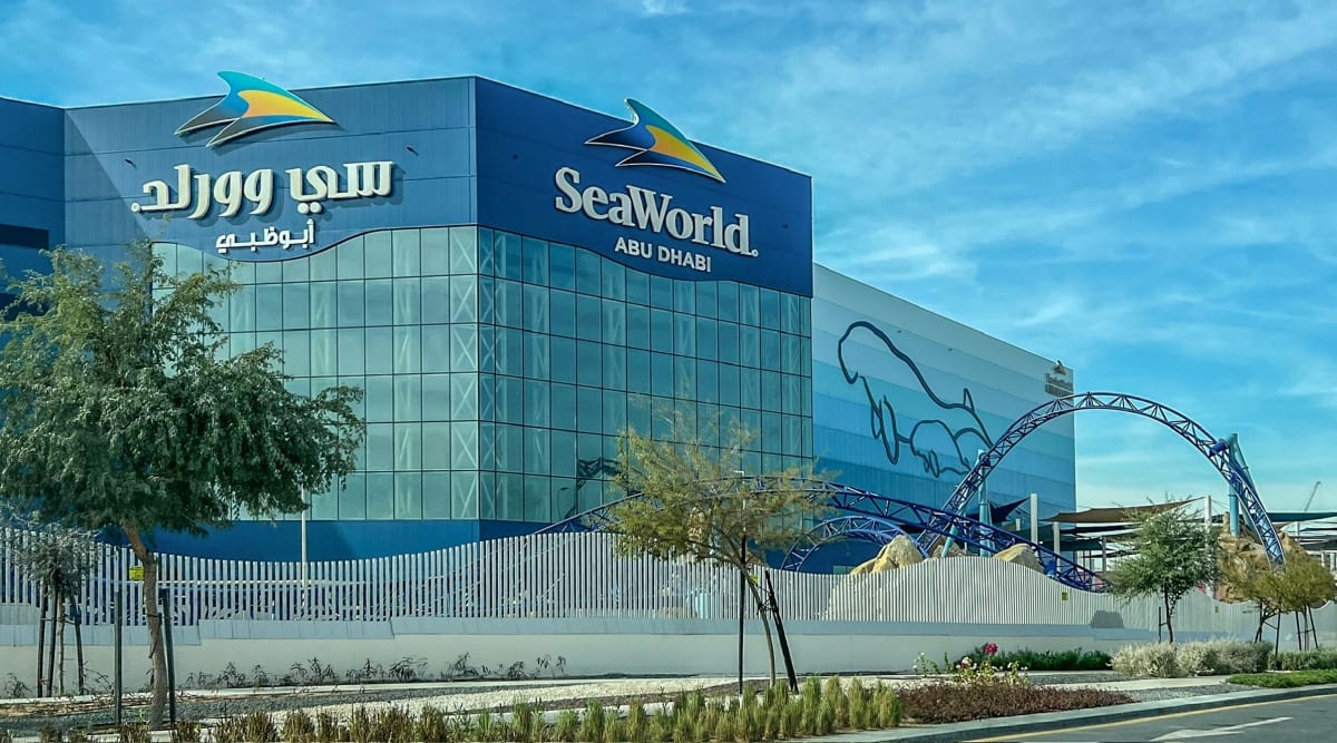 Yas Island Clymb Adventure