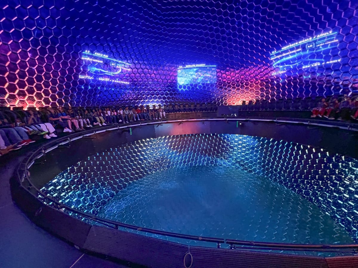 Yas Island Clymb Adventure