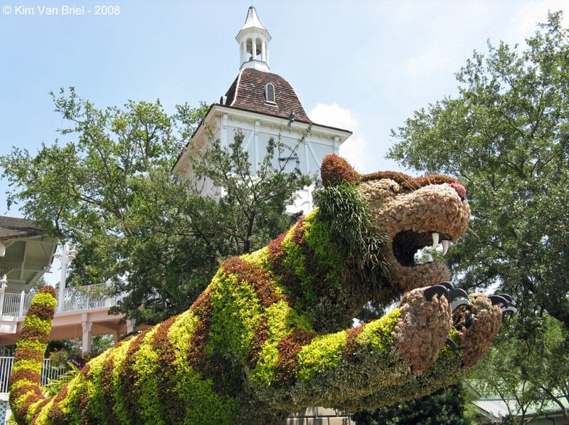 Busch Gardens Tampa Adventure Island