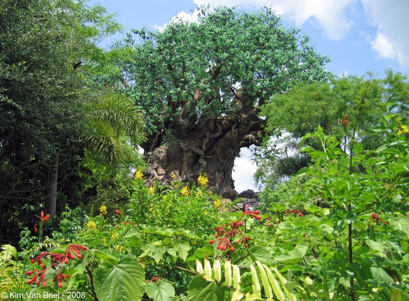 Disney's Blizzard Beach