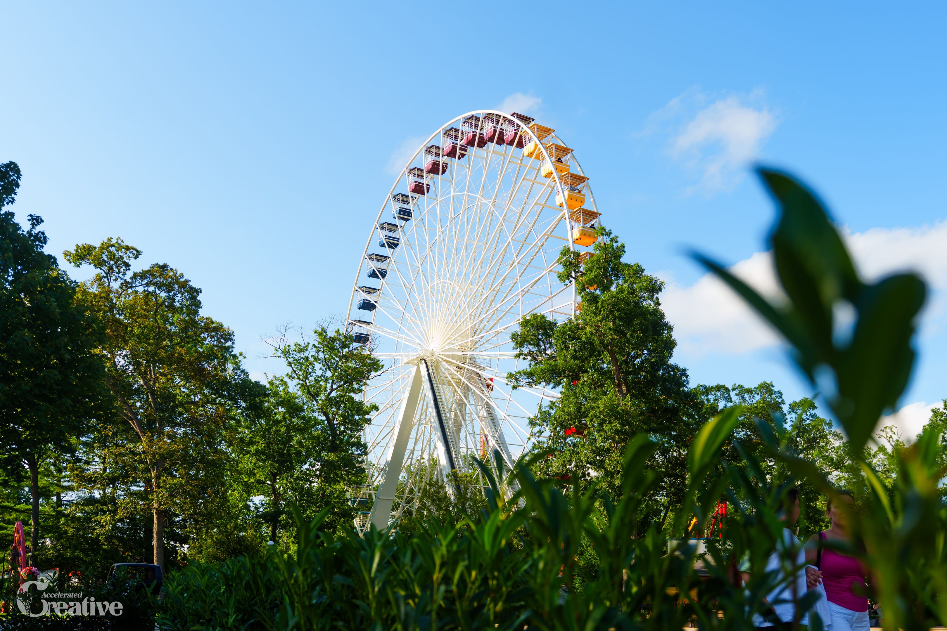 Six Flags Great Adventure