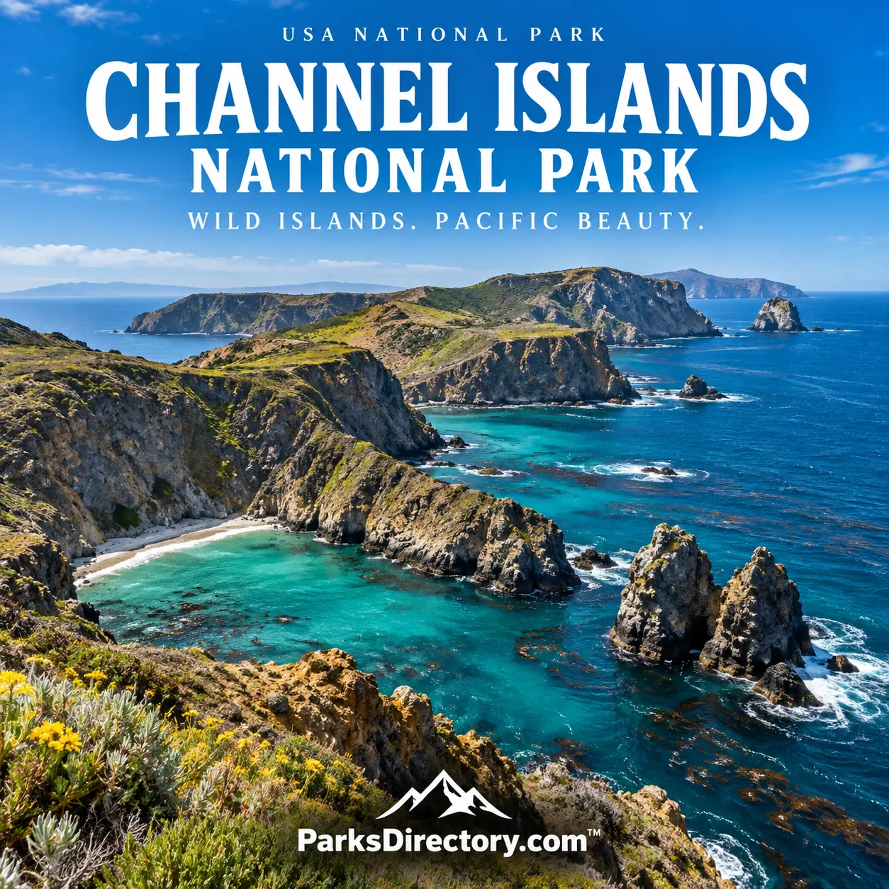 Channel Islands National Park