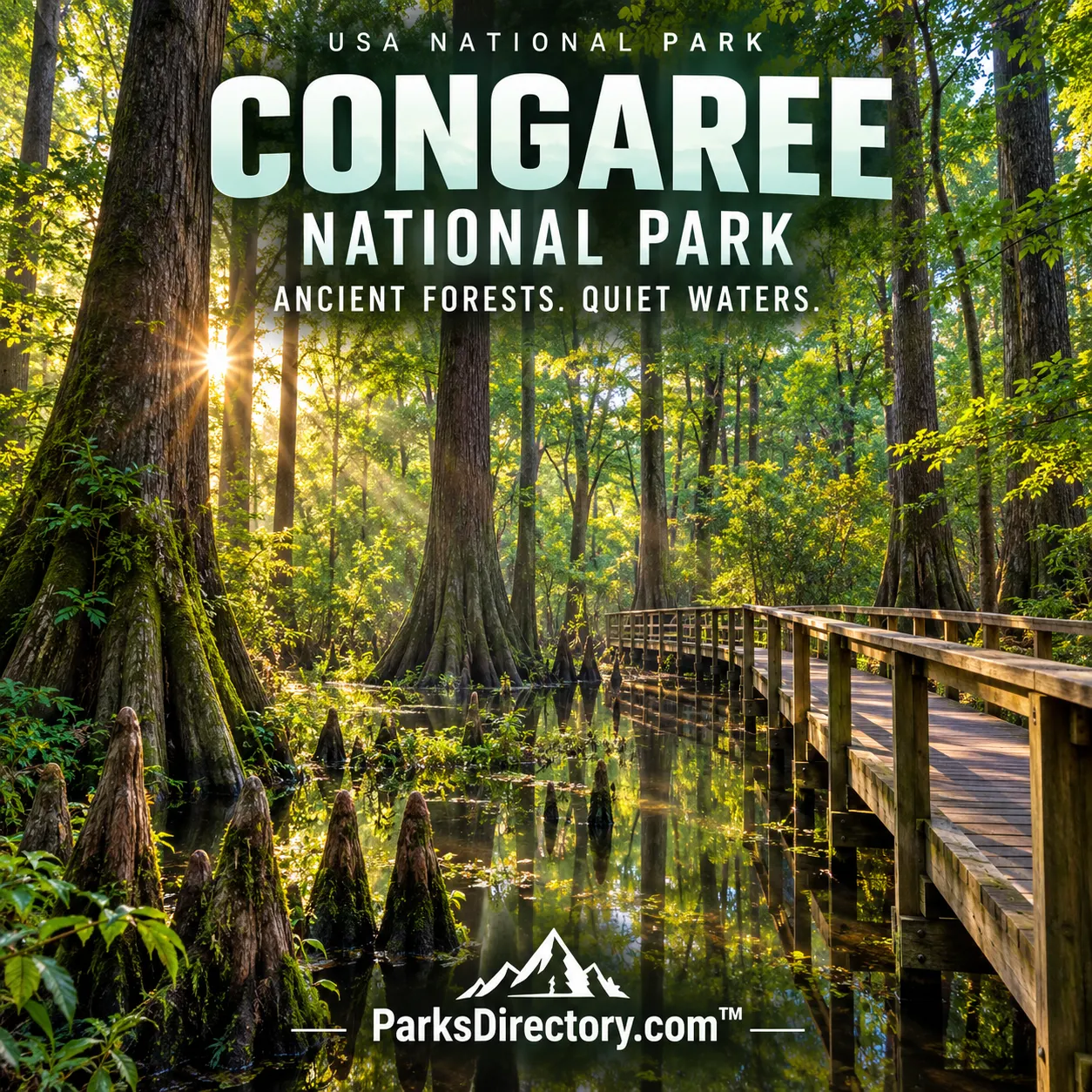Congaree National Park poster