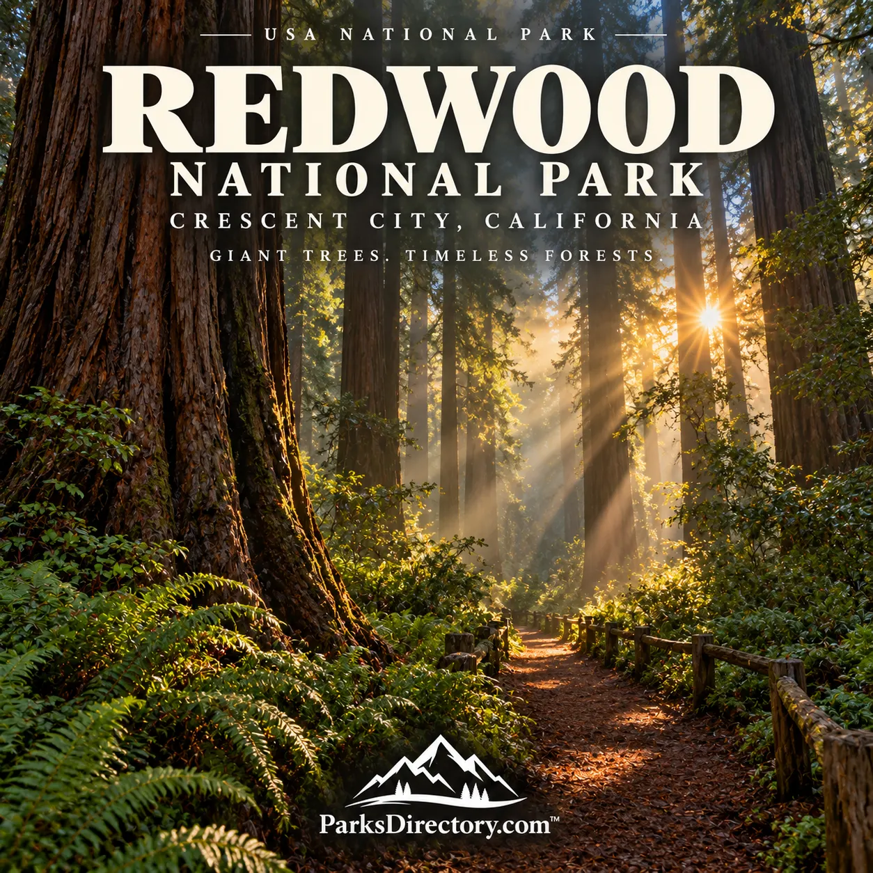 Redwood National Park