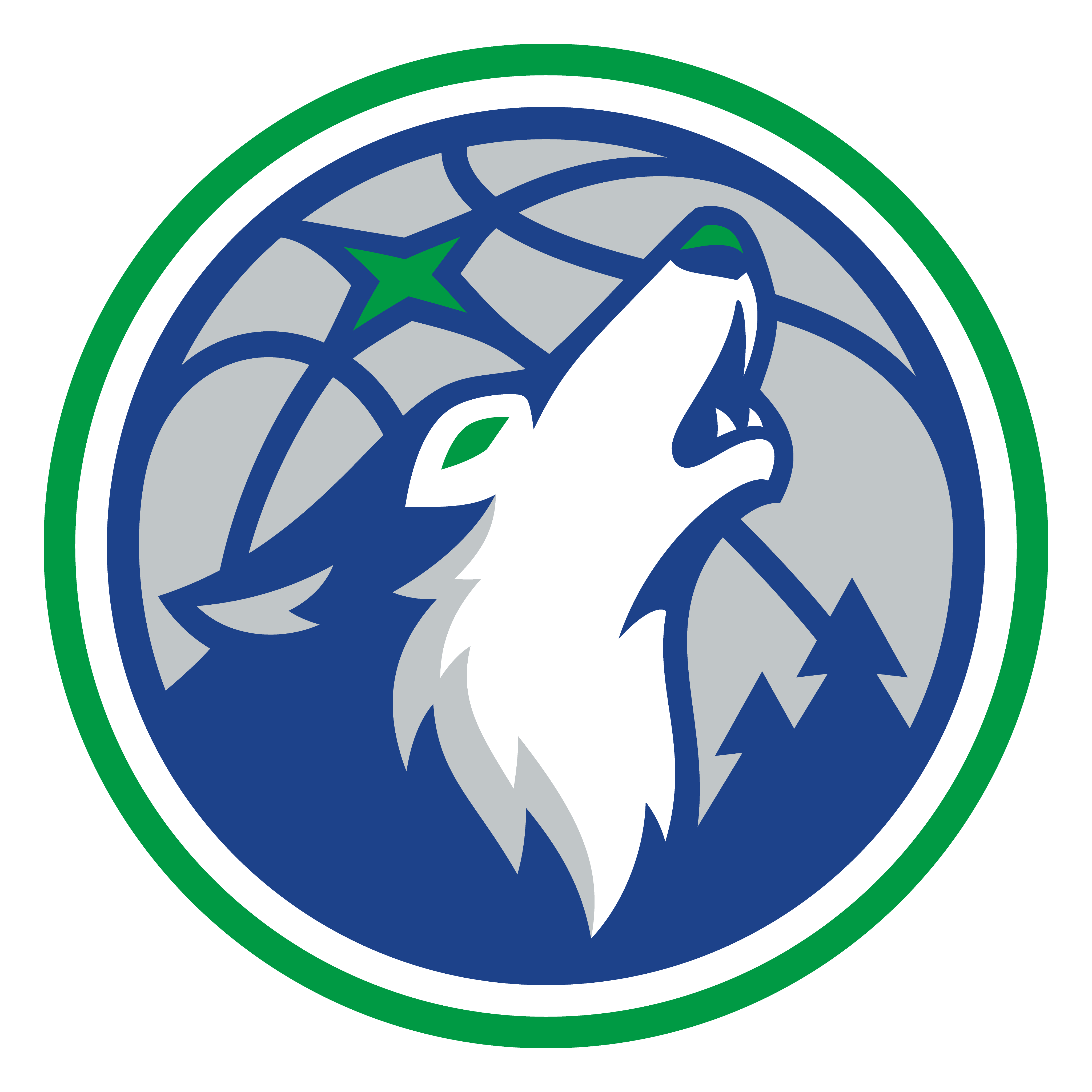 Minnesota Timberwolves