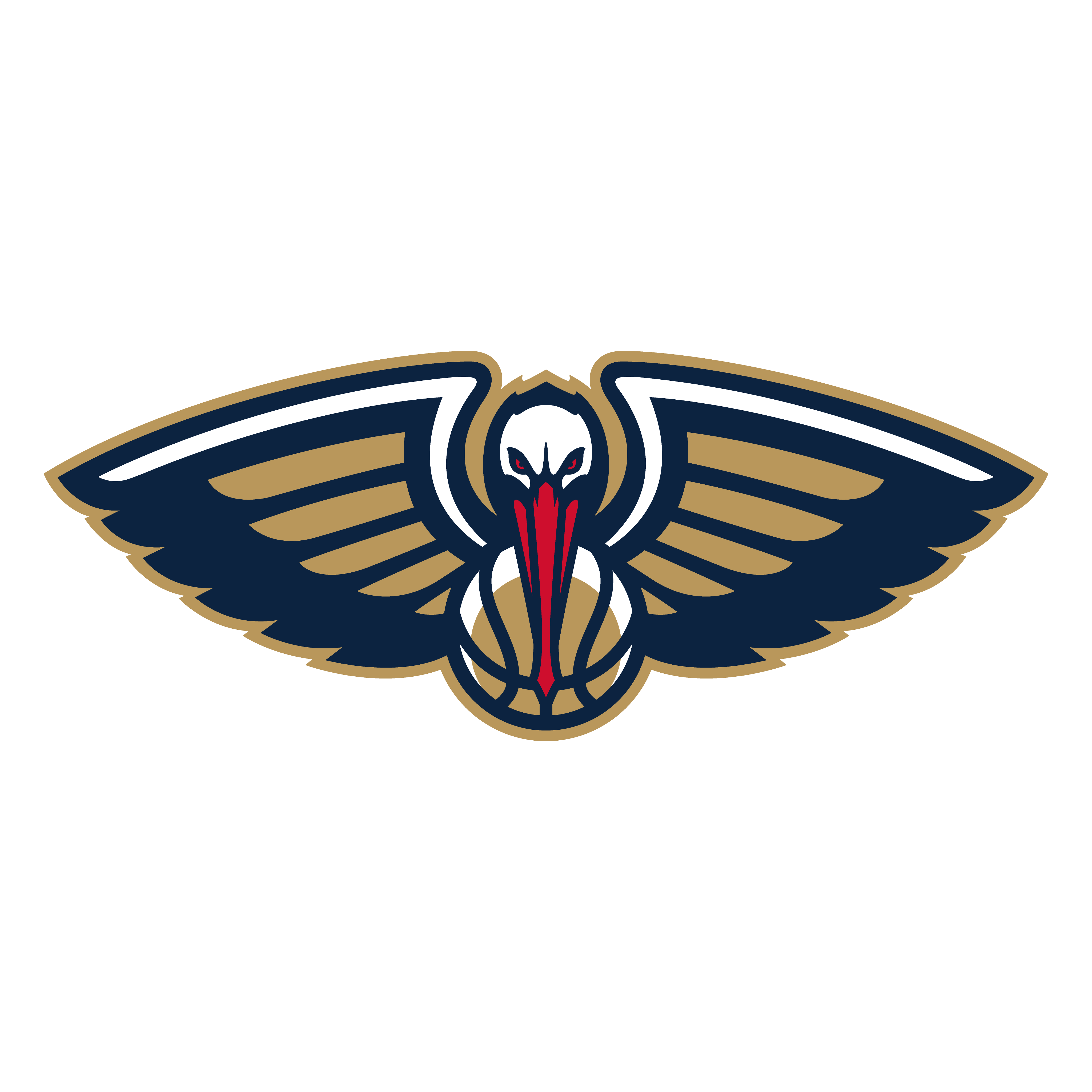 New Orleans Pelicans