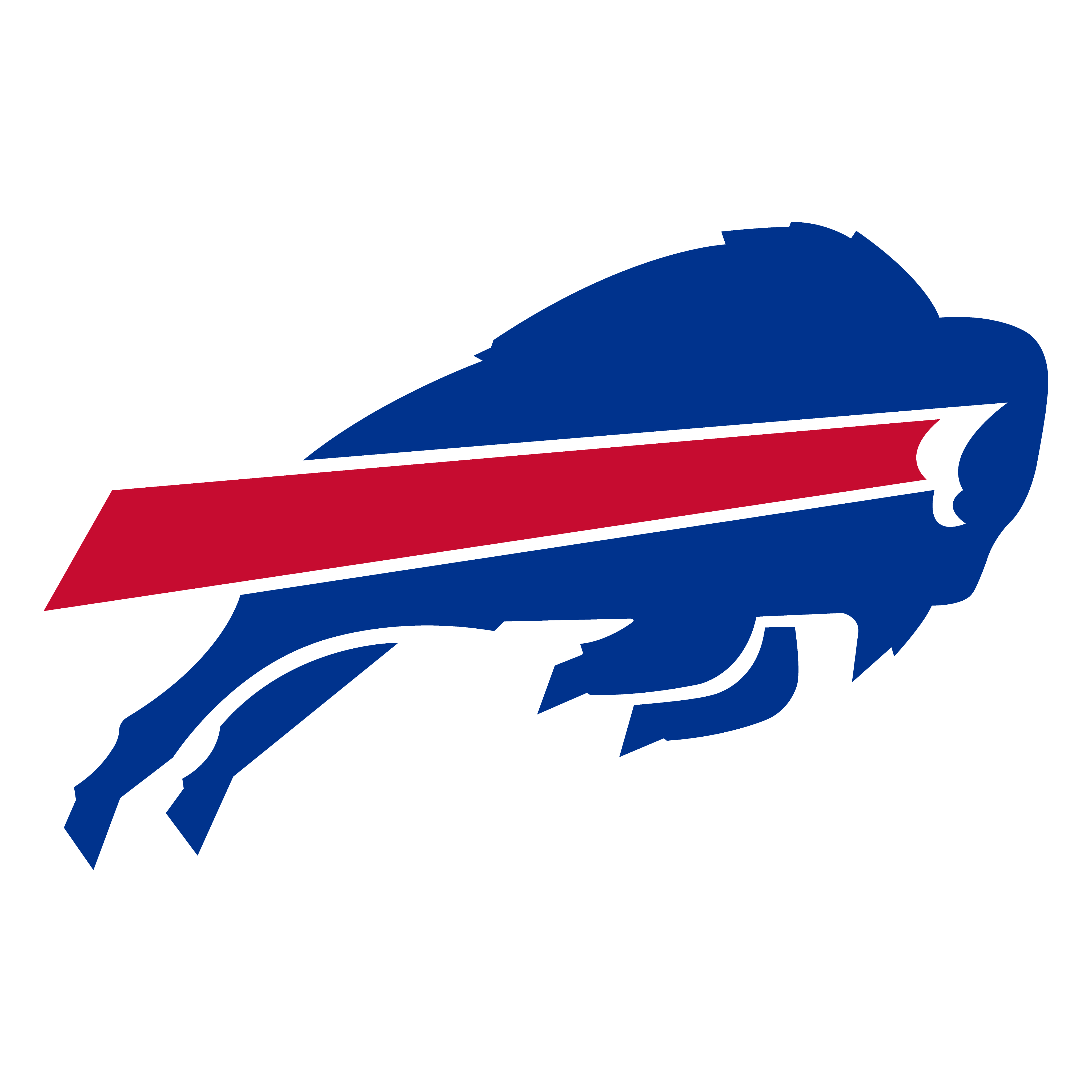 Buffalo Bills