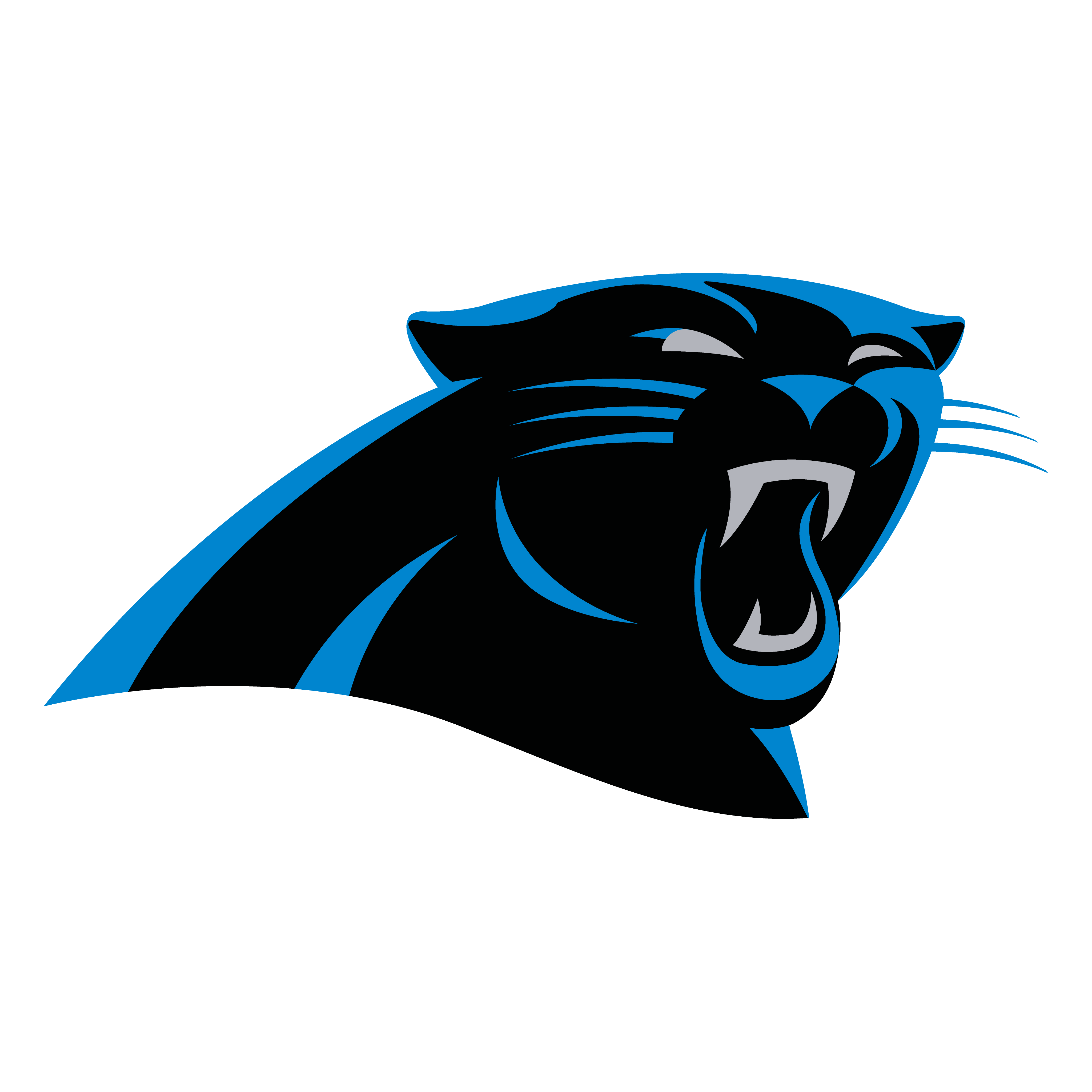 Carolina Panthers