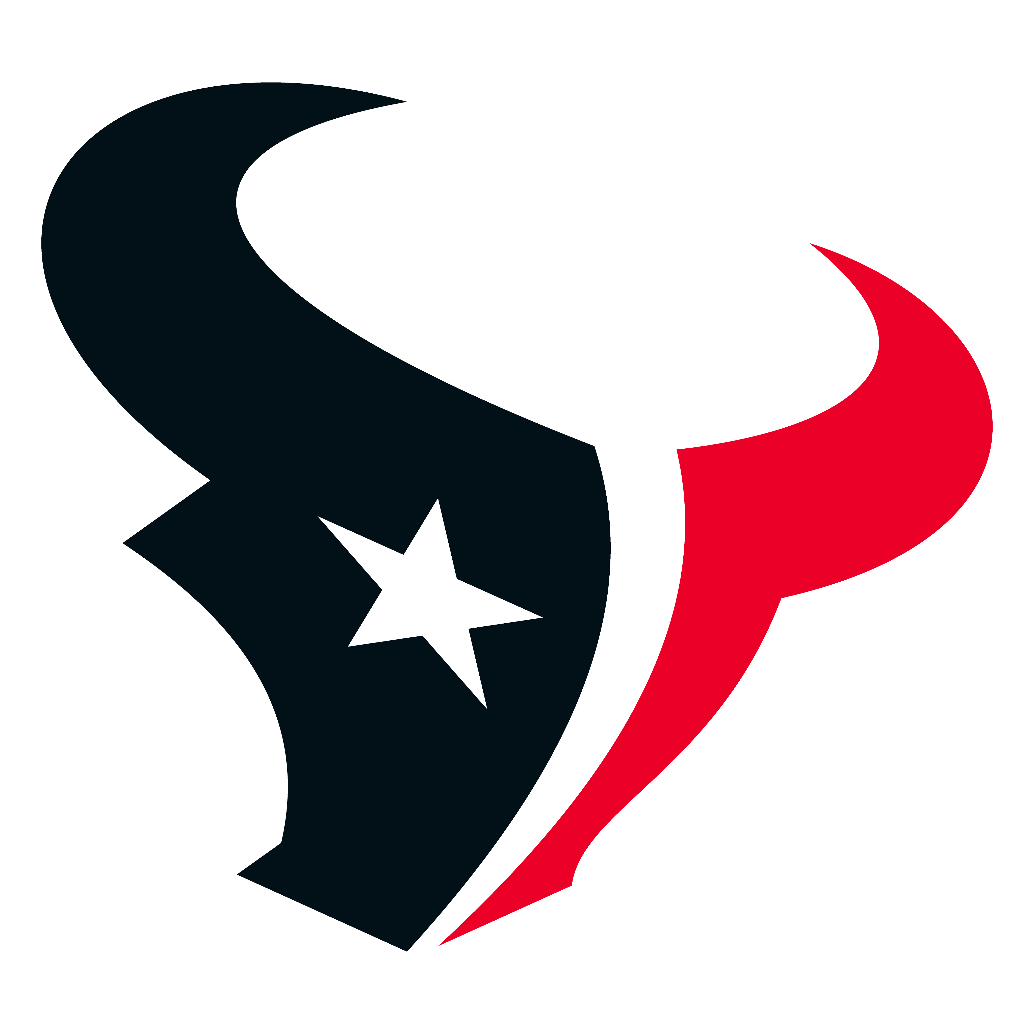 Houston Texans